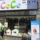 펫살롱 코코 이미지