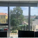 LKS 행정사 사무소 이미지