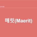 매실(maesil) 이미지