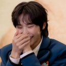 러브펫츠 이미지