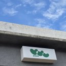 와토커피 | 제주 대정읍 카페 '와토커피' 매장 이용 후기