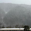 권실장 참마 찹쌀꽈배기 태백황지점 | [태백여행] 2일차_ 태백호텔 조식과 오투리조트 눈썰매장, 그리고 황지자유시장까지!