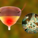 올바른비뇨의학과의원 이미지