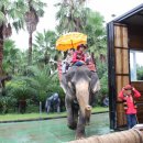 천지연횟집 이미지