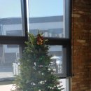 P-7902 | 대구앞산맛집 돈까스맛집:: 이찌로