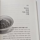 고메이 퍼피 이미지