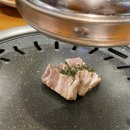 떼돈벌집 이미지