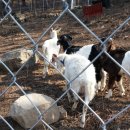 비슬 승마체험장 이미지