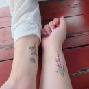 화서(영덕) 이미지