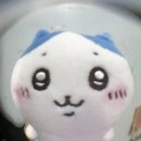 240714 변우석 홍콩팬미팅 (이름 다른표 양도받아서 두번이나 쫓겨났다가 입장성공 해낸) 후기