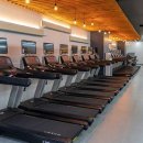 아폴로휘트니스 이미지