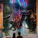 ACC 산책 이미지