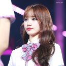 채원 이미지
