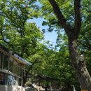 벽운동천 | 노원구 수락산 계곡의 벽운동천(碧雲洞天) 바위글~ 수락산 남쪽을 벽운동이라 일컬었다. 영조때 홍봉한...