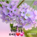 아라마루 카페 이미지