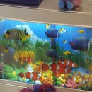 엠지소프트 이미지