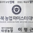 태생농장 네이버블로그