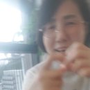 펠리즈