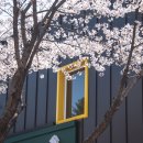 청풍민박