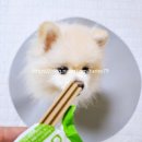 이로운덴탈 이미지