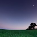 나무한그루 이미지