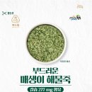 해성인터네셔널 머니투데이