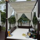 숲을향한시선 | 강아지숲 네이처풀 -첫방문 후기 (강아지 수영장 추천)