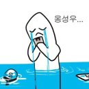 무조 Daum카페
