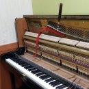 클린타운 이미지