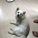 오전집 이미지