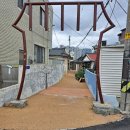 박말순(디벨로펀) 이미지