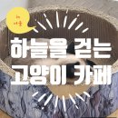 하늘을 걷는 고양이 카페 | 이수역 놀거리 하늘을 걷는 고양이 카페