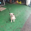 만능카서비스 이미지