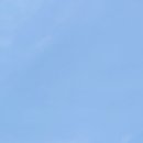 그래니 스미스 이미지