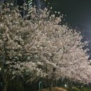 삼산회관양산증산역점 이미지