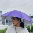 퍼플소 이미지