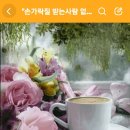 #️⃣좌파와 우파 #️⃣진보와 보수🆘️둘을 나누는 기준은 무엇 일까요? 이미지