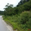 음봉주유소 이미지