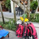 건강기체조 | 베트남 호이안 수영장 좋은 숙소 추천! 혼자가능? 체크아웃 후 수영장 알마니티리조트 풀사이드바 후기