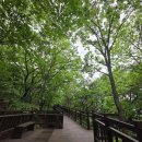 구릉산자락길 이미지