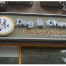 도그앤츄 이미지