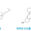 비타민프라자 이미지
