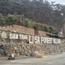 엘리의바베큐숲 | 담양아기랑숙소 추천 리사숲속마을 엘리의집 아기랑 다녀온 솔직후기