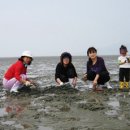 갯바람펜션 이미지