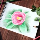 즐거운 색연필화 이미지