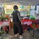 신기새마을영농조합법인 이미지