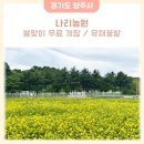 동산농원 | 양주 가볼만한 곳 나리농원 2025년 봄맞이 무료 개장 유채꽃밭