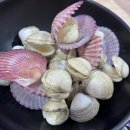 분평동죽칼국수
