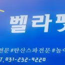 벨라 펫샵 이미지