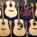 포크기타 (연주) 이미지